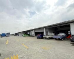 Westlink One (D22), Factory #630096441